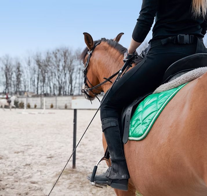 Rider on horseback